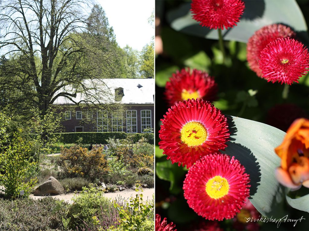 botanischer garten münster.