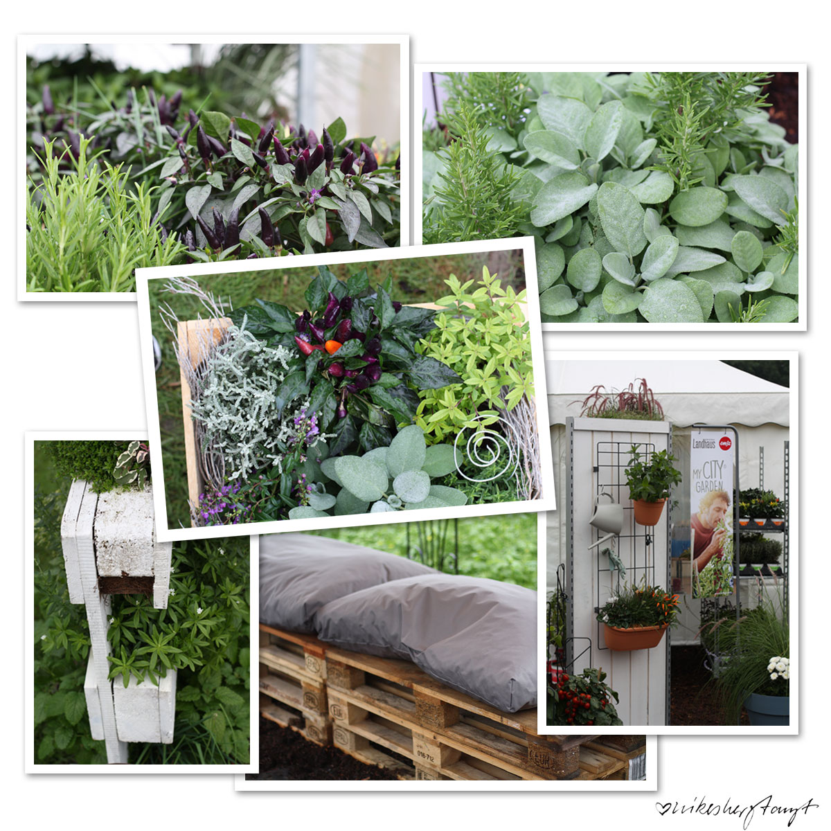 volmary, münster, garten-blogger-treffen, plant happy, pflanzen, gardening, nikesherztanzt, blog