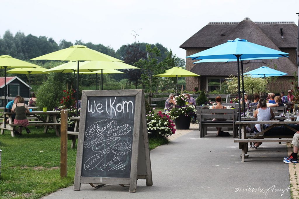 eten in zwolle gastrotipps.