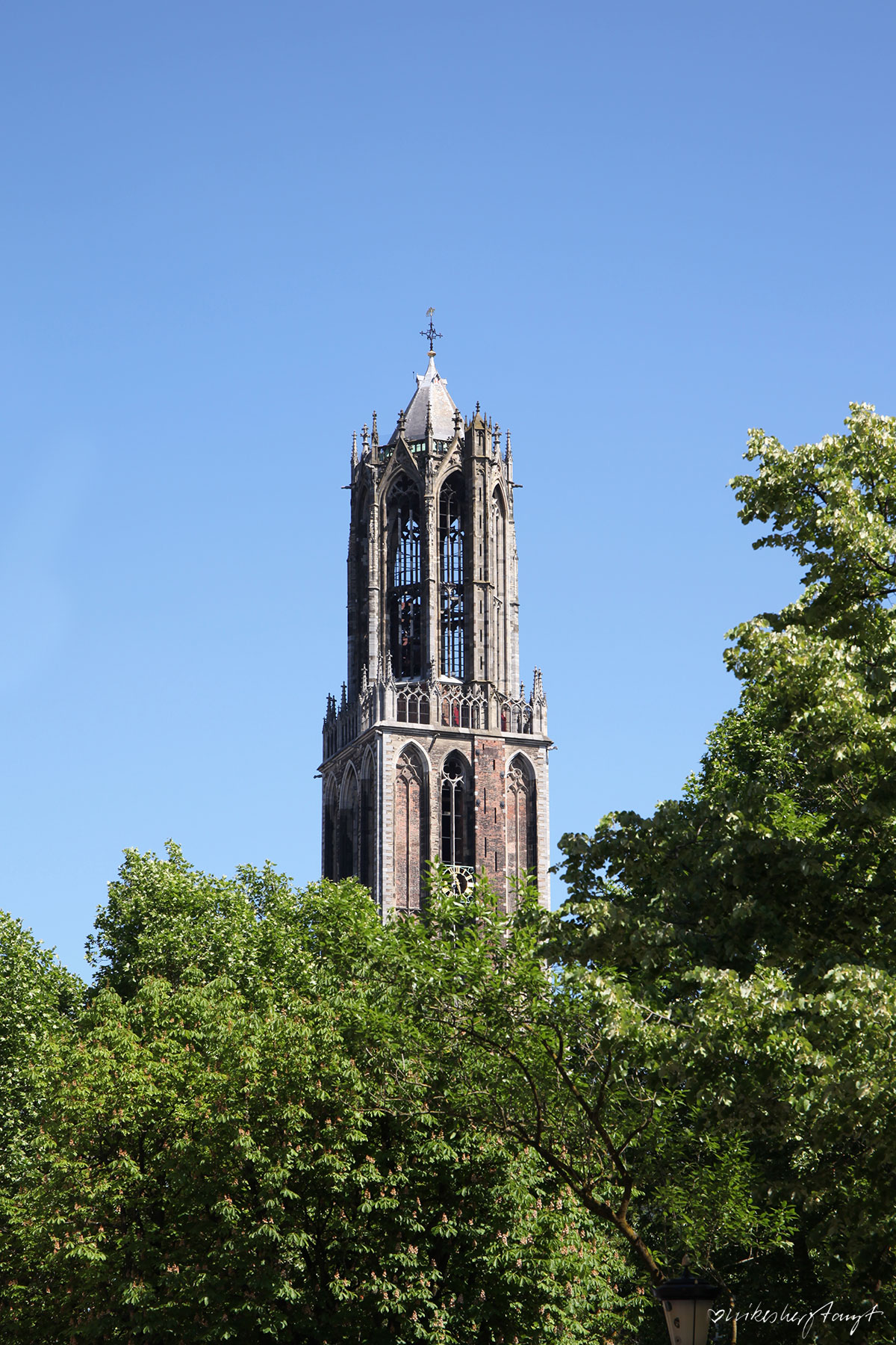 Städtetrip ins zauberhafte Utrecht - mit Dombesichtigung, Grachtenrundfahrt & Übernachtung im Hotel Court